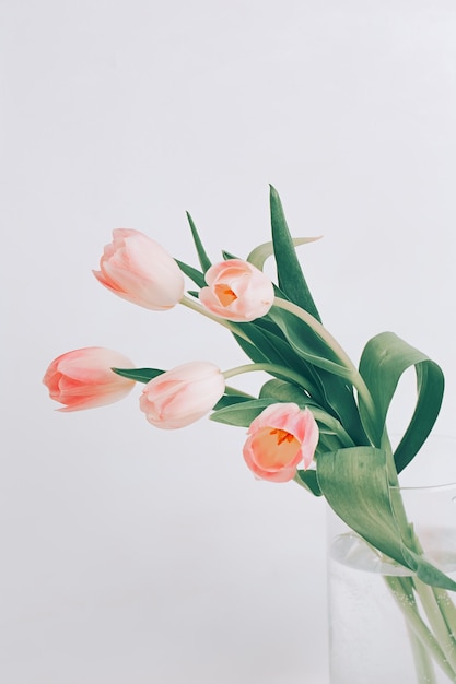 Zarte rosa Tulpen in einer Glasvase. Skandinavischer Stil. Schöne Grußkarte. Das Minimalkonzept.