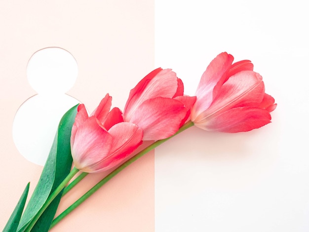 Zarte rosafarbene Tulpen auf einer weißen Silhouette 8 anstelle des Textes Blumenkarte für den 8. März