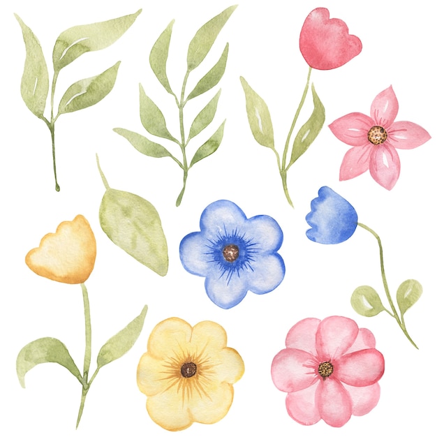 Foto zarte süße blumen-set, wildblumen-clipart, aquarell handgezeichnete blumenillustration