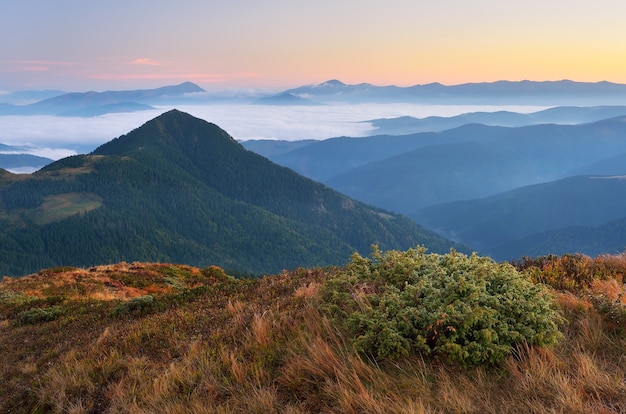 Zarter Naturzustand in den Bergen. Schöne Landschaft im Morgengrauen. Karpaten, Ukraine, Europa