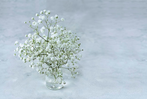 Foto zartes bouquet von gypsophila auf einem hellen hintergrund selektiv fokussiert