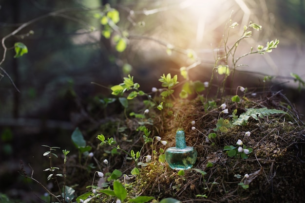 Zaubertrank auf Flasche im Wald