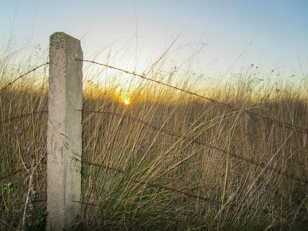 Foto zaun auf dem feld bei sonnenuntergang