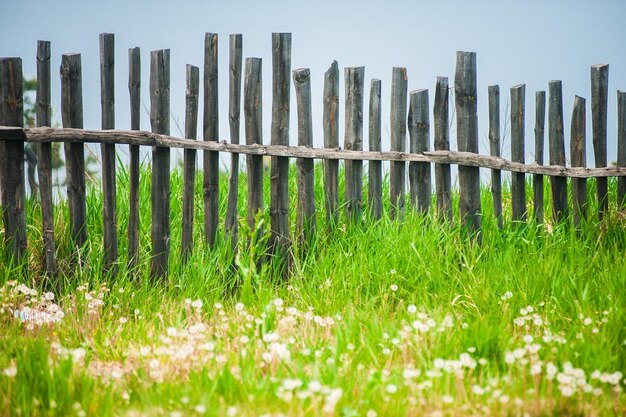 Foto zaun auf dem feld