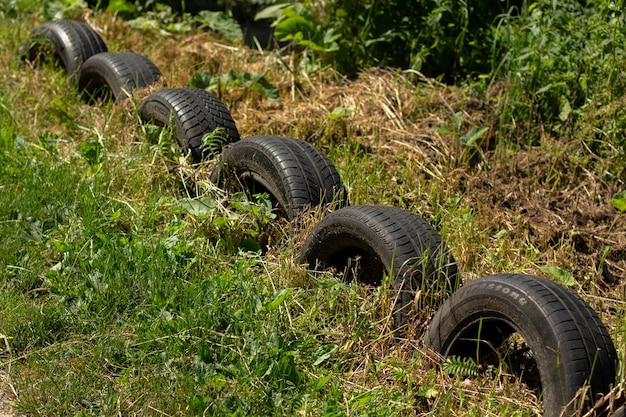 Zaun aus alten Reifen im Garten