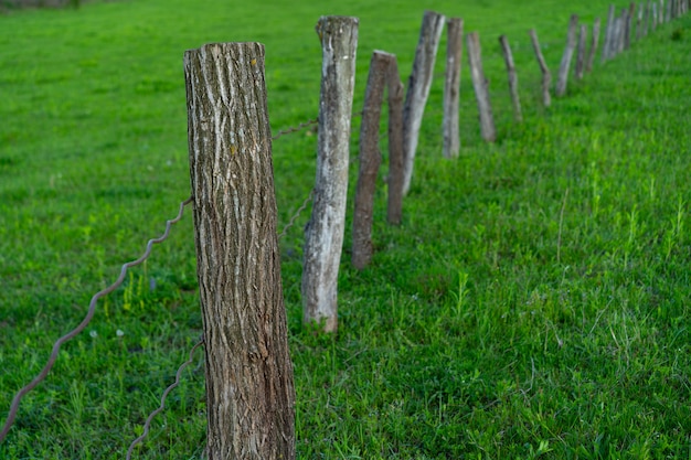 Zaun aus Holzstämmen und Ästen