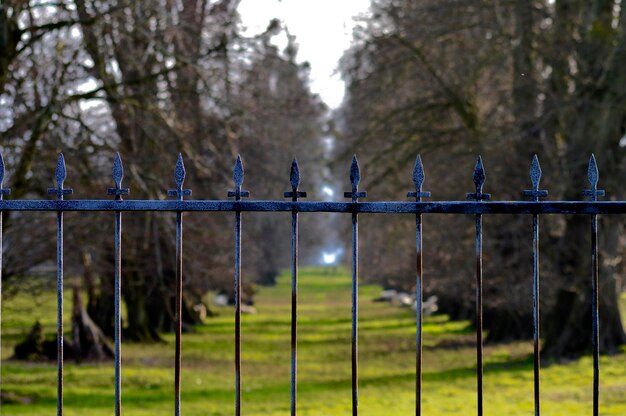 Zaun gegen Bäume auf dem Feld