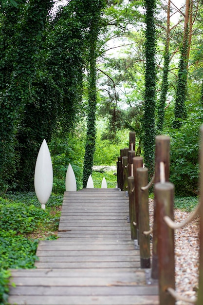 Zaun im Wald im Park