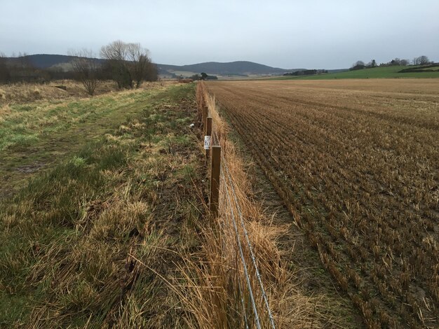 Foto zaun mitten auf dem feld gegen den klaren himmel