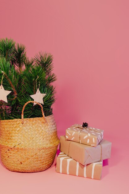 Zedernzweig im Weidenkorb auf rosa Hintergrund dekoriert. Weihnachtsgeschenke in der Nähe von Weidenkorb mit Tannenzweigen.