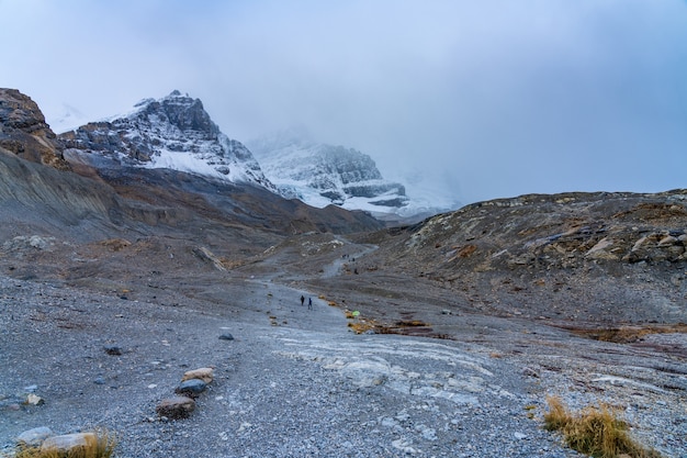 Zehe des Athabasca Glacier Trail