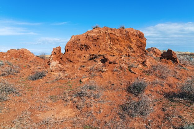 Zeichnungen und Figuren auf einem gelbsandigen Felsen