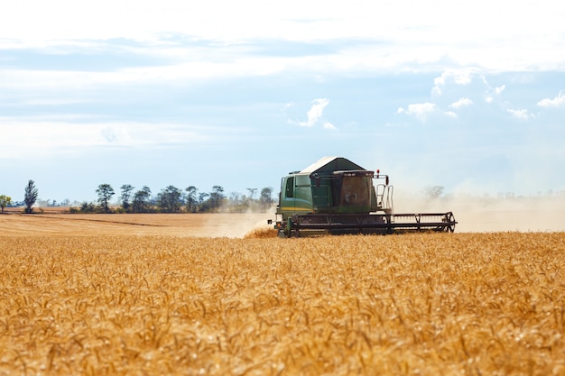 Zeit zu ernten! Schöne Aussicht auf die Arbeit des Mähdreschers, der Weizen erntet. Erntemaschine zur Ernte von Weizenfeldern. Kombinieren Sie die landwirtschaftliche Erntemaschine, die goldenes reifes Weizenfeld erntet.