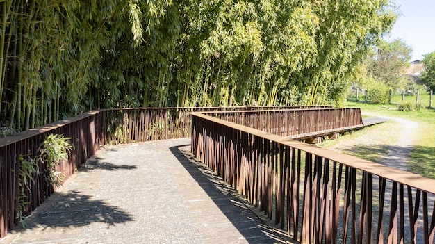 Zeitgenössische rostfreie Stahl- und Holzbrücke im Waldgartenpark