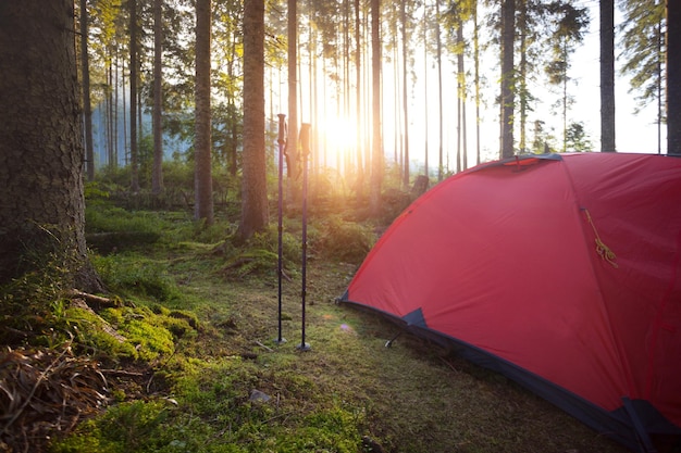 Zelt im Wald vor dem Hintergrund der aufgehenden Sonne