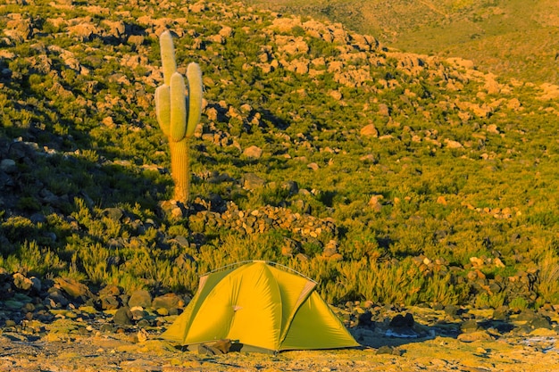 Zelt in Bolivien