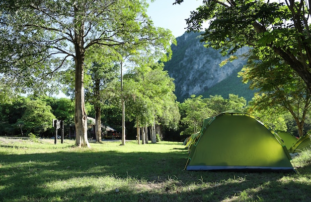 Zelt mit natürlichem Wald beim Kampieren