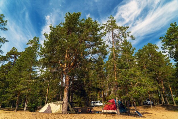 Zelte am Sandstrand unter den Kiefern des Ladoga-Sees Karelien