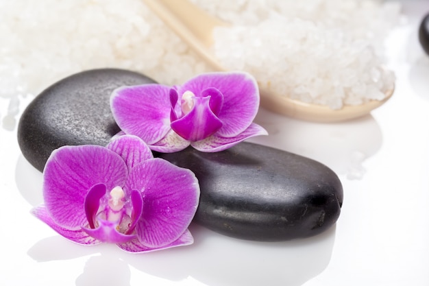 Zen piedra y orquídea, concepto de spa