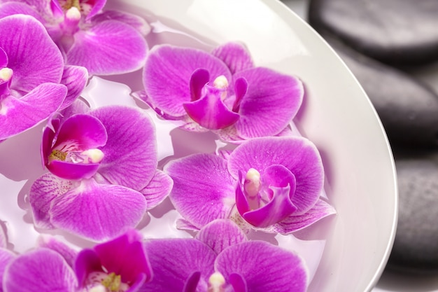 Foto zen piedra y orquídea, concepto de spa