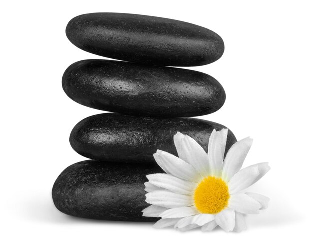 Zenbasaltsteine und -blume auf Hintergrund