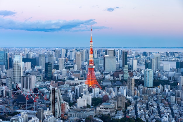 Zentrales Tokio und Tokyo Tower