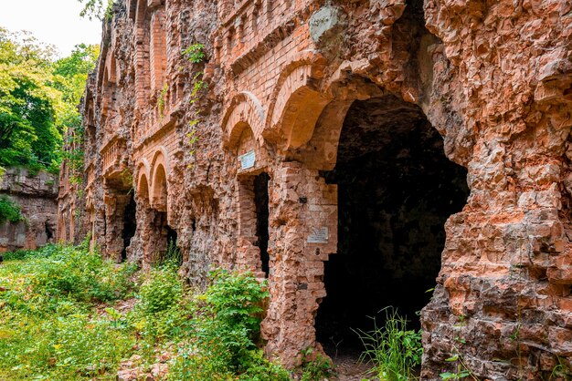 Foto zerfallende alte ziegelsteine eines alten verlassenen forts, umgeben von grünen pflanzen