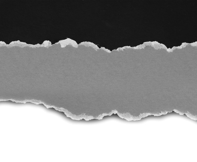 Foto zerrissene papierstücke auf weißem hintergrund mit kopienraum für text