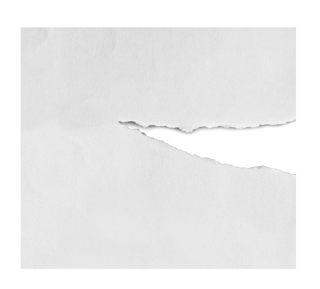 zerrissene Papierstücke auf weißem Hintergrund mit Kopienraum für Text