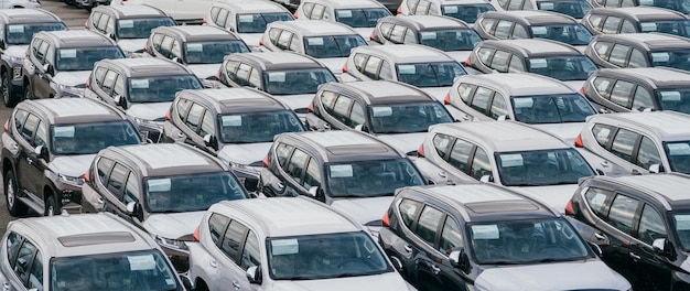 Zeugen des nahtlosen Parkens und Transportes von neuen Hatchbacks von der Factoryya Testament