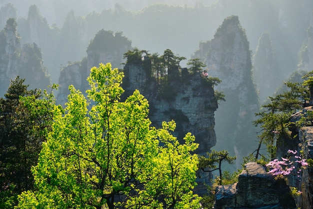 Foto zhangjiajie berge, china