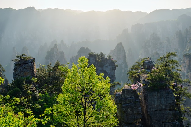 Foto zhangjiajie berge, china