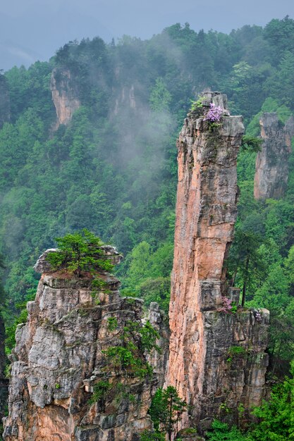 Zhangjiajie Berge, China