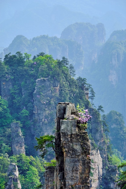 Zhangjiajie Berge, China