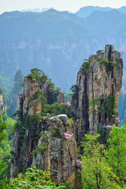 Zhangjiajie Berge, China