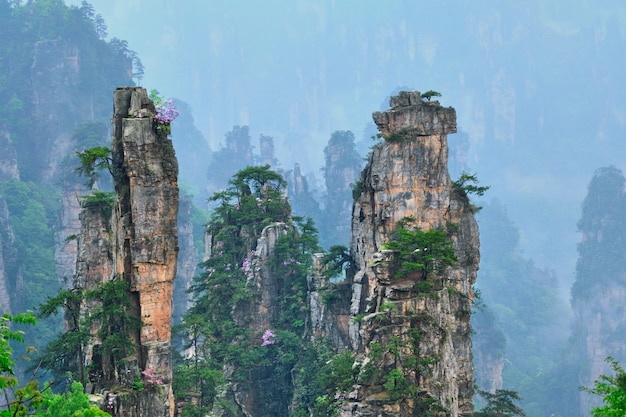 Zhangjiajie Berge, China