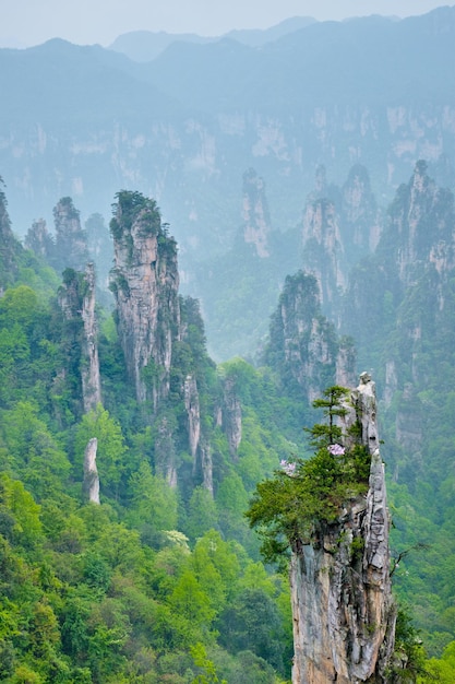 Zhangjiajie-Berge in China