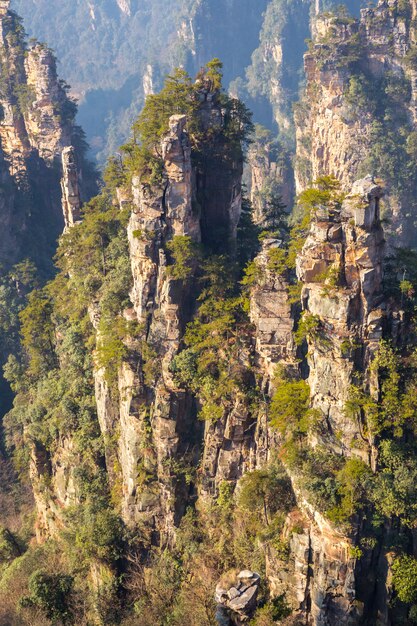 Zhangjiajie bosque nacional de China