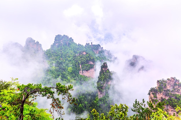 Zhangjiajie-Nationalpark. Berühmte Touristenattraktion in Wulingyuan, Hunan, China. Erstaunliche Naturlandschaft mit Steinsäulen-Quarzbergen in Nebel und Wolken