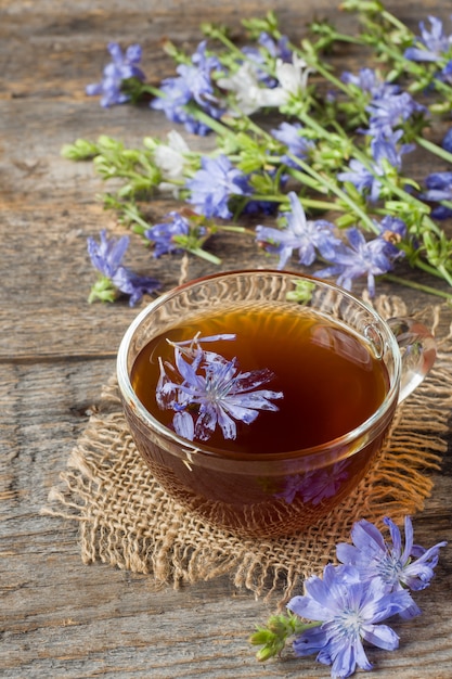 Zichoriengetränk in der Schale und in den Blumen auf rustikalem hölzernem Hintergrund. Heilpflanze Cichorii.