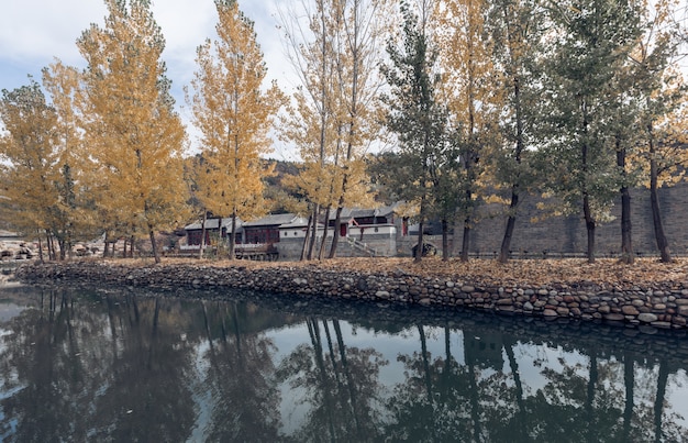 Ziegelhäuser im Nordwesten Chinas, antike Gebäude für Touristen zu beobachten, Herbst, goldene Blätter