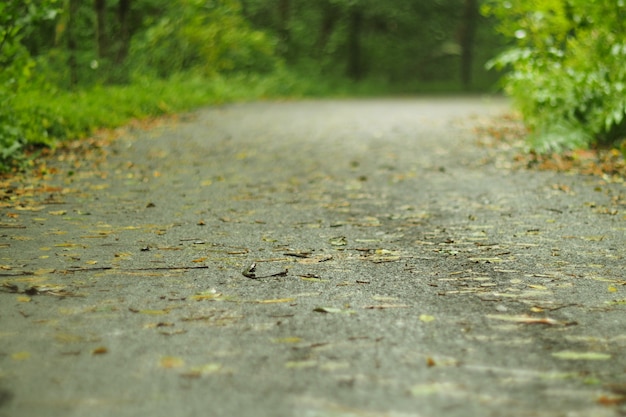 Ziel, einen Laufpfad aufzubauen