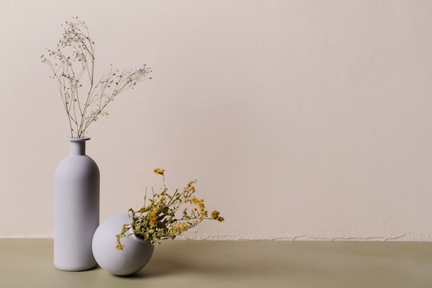 Zierpflanze in minimaler Vase