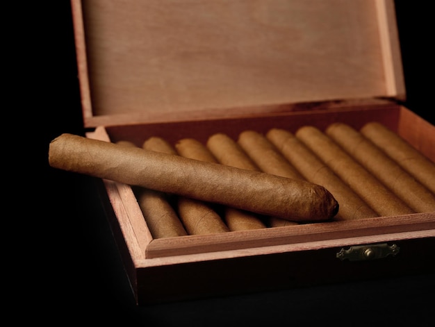 Zigarren im Karton auf schwarzem Hintergrund