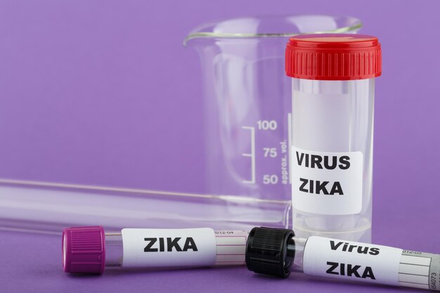 Zika-Virus-Konzeptfoto mit Reagenzglas