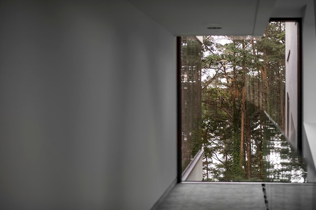 Foto zimmer mit fenster in den wald