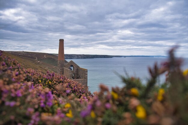 Foto zinnberg in der cornish