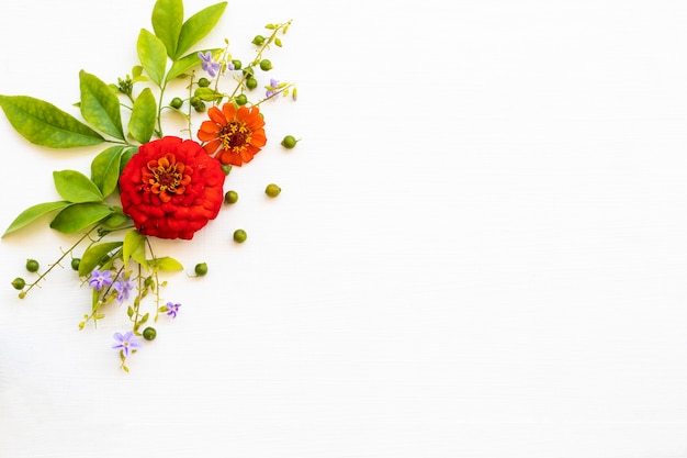 Zinnia elegans Blumenarrangement im Postkartenstil