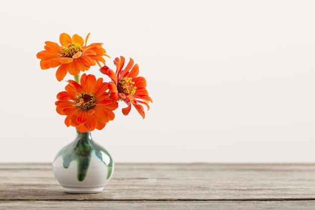 Zinnienblume in einer Vase