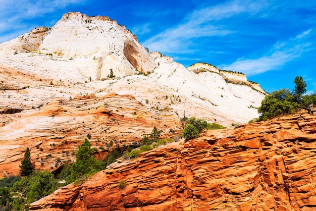 Zion National Park, USA.